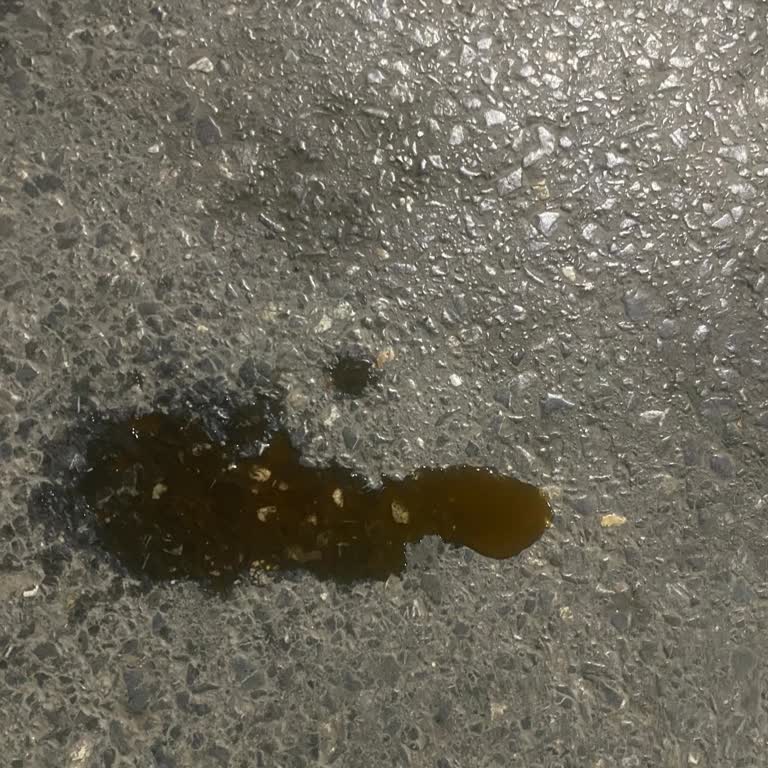 Gece Yarısı Dacia Duster'da Beklenmedik Motor Uyarısı