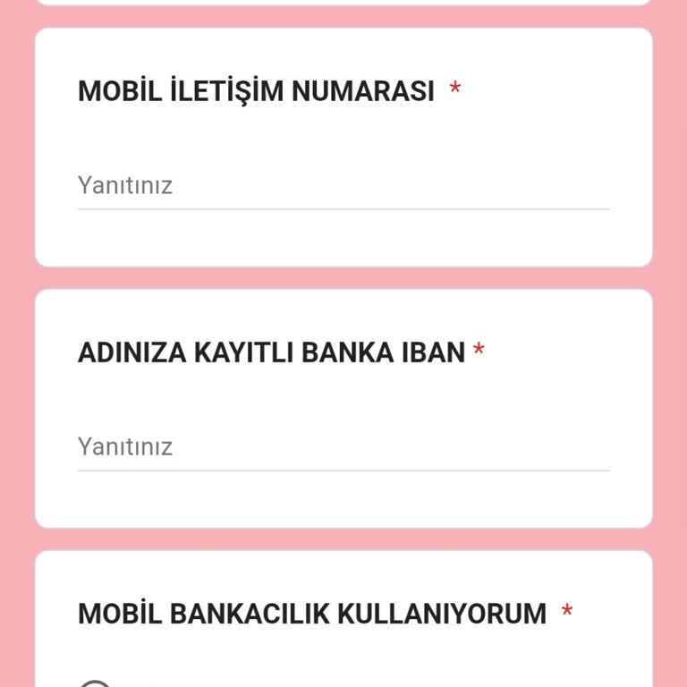 Güvenlik Açığı Ve Kişisel Veri Endişesi