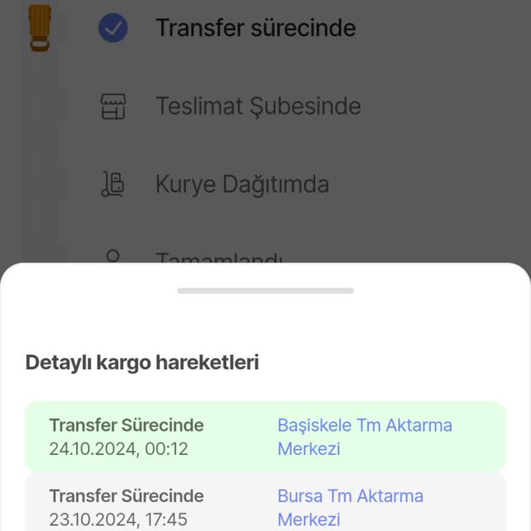 Kargo Teslimatındaki Gecikme Ve İlgisizlik