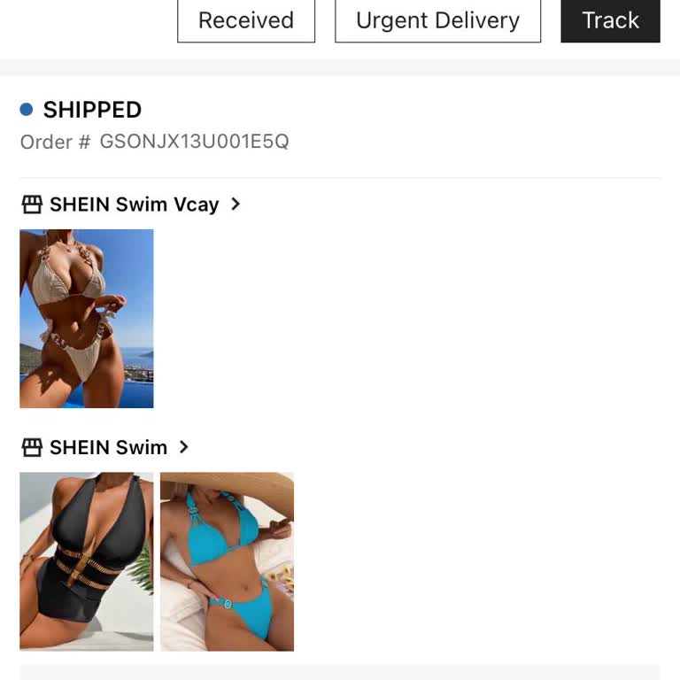 No recibí mi pedido de Shein según EVRi