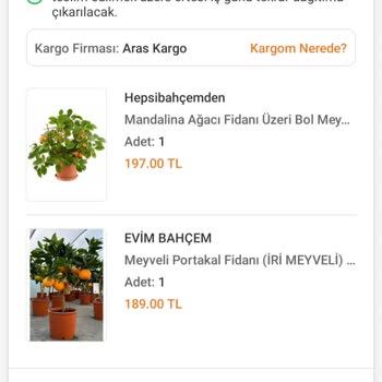 Aras Kargo Kargoda Bekleyen Fidanlar Ve İade Sorunu!