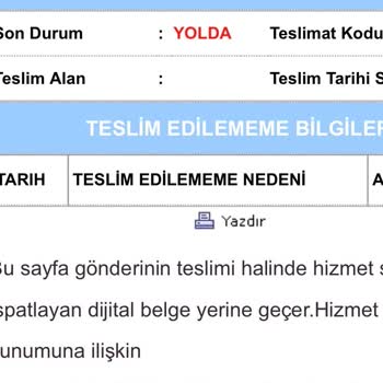 Kargo Teslimatında Yaşanan Gecikme Ve Sorunlar