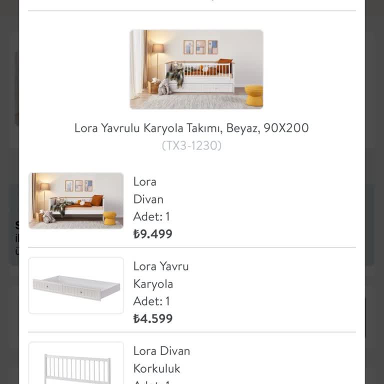 Eksik Teslimat Ve Ulaşım Sorunu Yaşadım