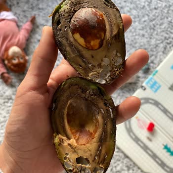 Olgunlaşmış Avokado Hayal Kırıklığı Yaşattı