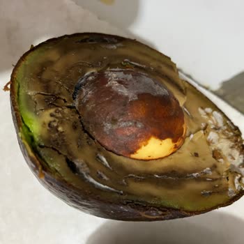 Olgunlaşmış Avokado Hayal Kırıklığı Yaşattı