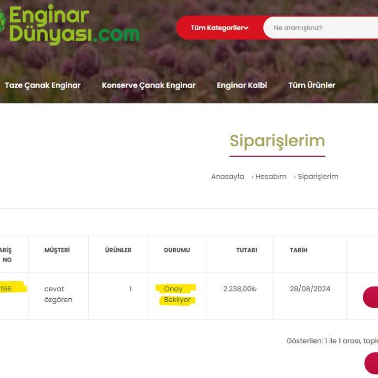 Enginar Siparişim Gelmedi, İletişim Kurulamıyor