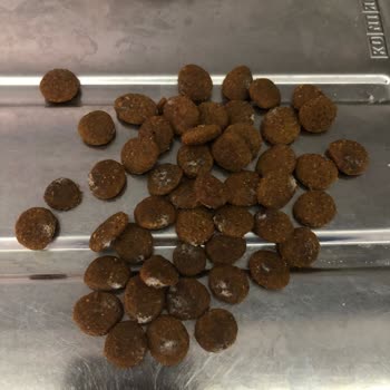 Küflü Mama Ve İletişim Eksikliği