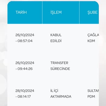 PTT Sultanbeyli Şubesi Kargo Teslim Sorunu