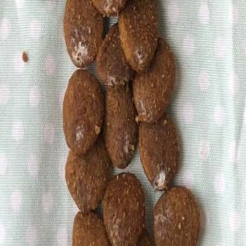 Küflü Mama Ve İlerlemeyen İnceleme Süreci