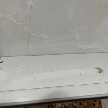 Yalçın Temizlik Detaylı Temizlikte Hayal Kırıklığı Ve İletişim Sorunları