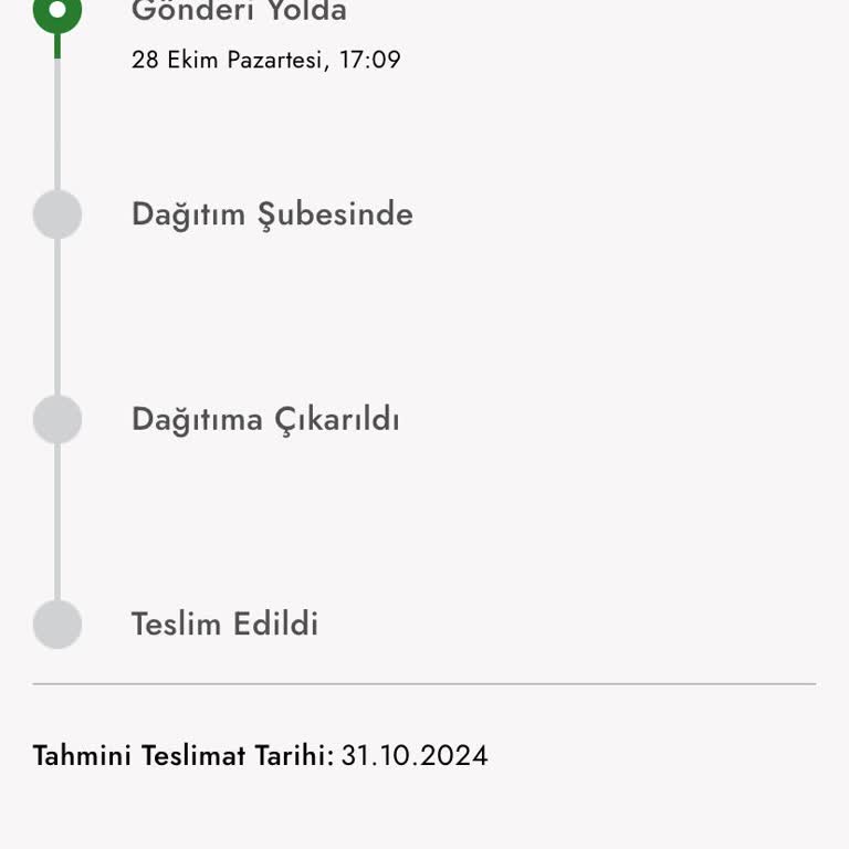 Kargo Kaosu: Siparişim Nerede?