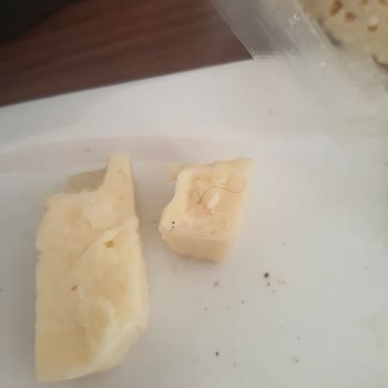 Tahsildaroğlu Peynirinde Hijyen Skandalı Ve İletişim Sorunu