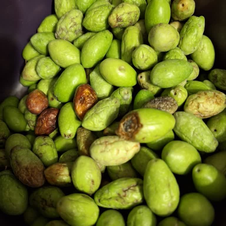 Migros Hemen'den Çürük Zeytin Ve İlgisiz Destek