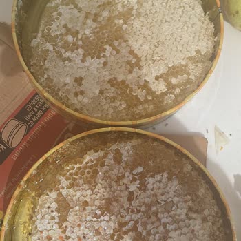 Kenger Balı Görsellerden Farklı Gelen Ürünler