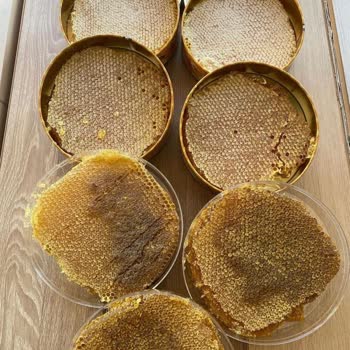 Kenger Balı Görsellerden Farklı Gelen Ürünler