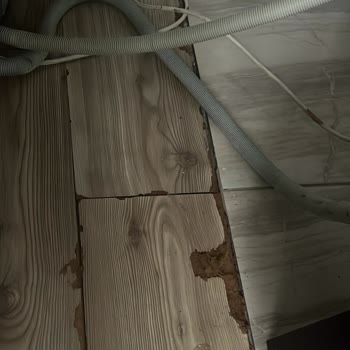 Vestel Bulaşık Makinesi Sürekli Arıza Yapıyor