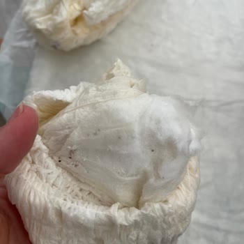 Defolu Sleepy Bezler Hayal Kırıklığı Yarattı