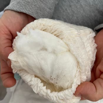 Defolu Sleepy Bezler Hayal Kırıklığı Yarattı