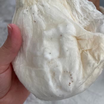 Defolu Sleepy Bezler Hayal Kırıklığı Yarattı