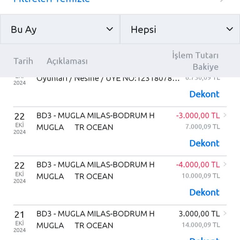 Para İadesinde Uzayan Bekleyiş: N Kolay Aktif Bank