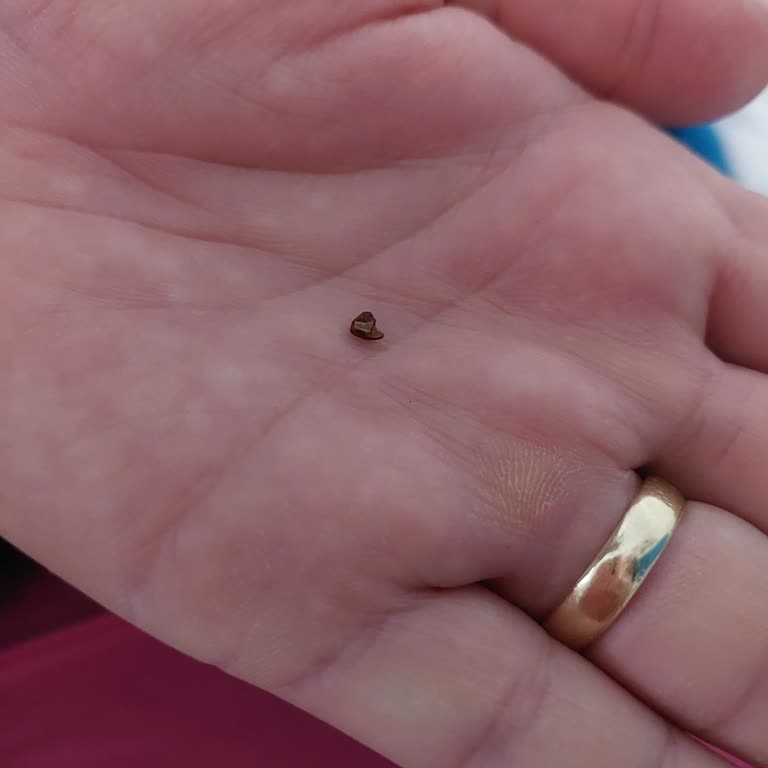 Tchibo Türk Kahvesinde Yabancı Madde Sorunu