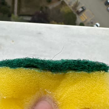 Bulaşık Süngerinde Şok Edici Keşif: Kıl Malzeme!