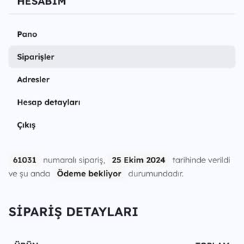 Teslim Edilmeyen Sipariş Ve İade Talebi