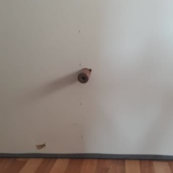 Kelebek Mobilya'dan Aldığımız Koltuklar Sorunlu Geldi, Çözüm Yok