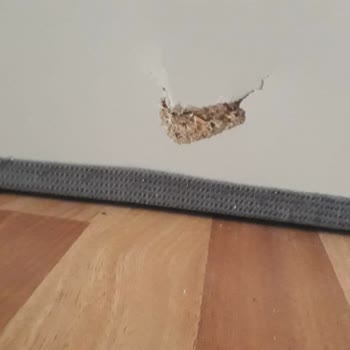 Kelebek Mobilya'dan Aldığımız Koltuklar Sorunlu Geldi, Çözüm Yok