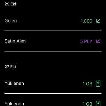 Puan Ve İade Sorunları