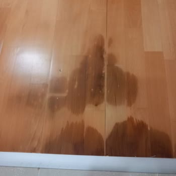 Sigorta Ödemesi Sorunu Ve Mağduriyet Talebi