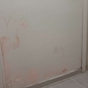 Sigorta Ödemesi Sorunu Ve Mağduriyet Talebi