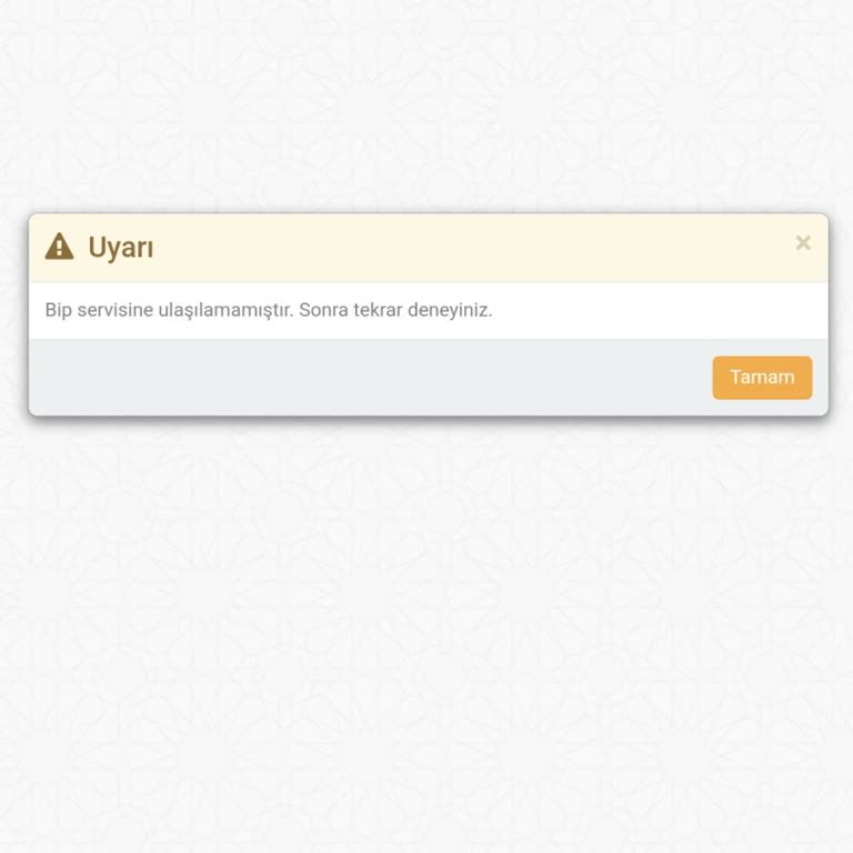 Aktivasyon Kodu Sorunu Ve BİP Servisi Erişilemiyor