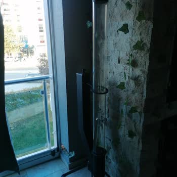 Sobapelet (Instagram) Şikayeti