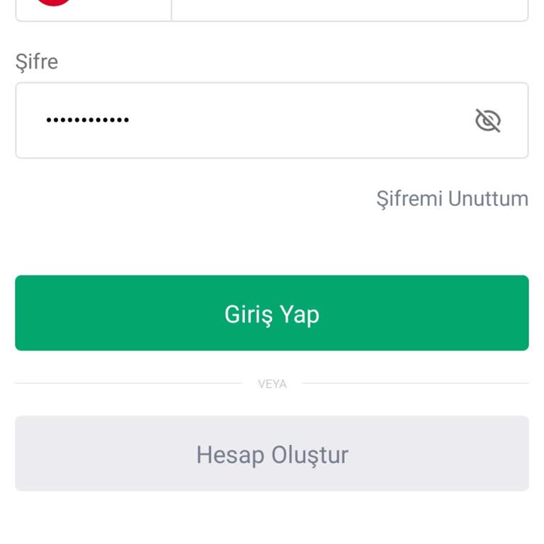 Hesap Giriş Sorunu Ve Şifre Doğrulama Problemi