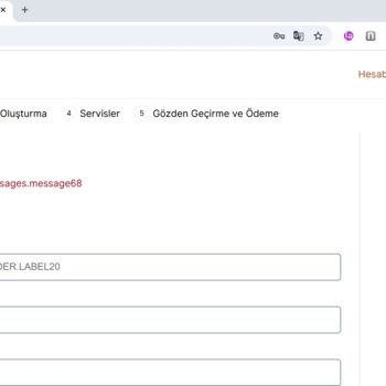 Vize Randevusu Alınamıyor: Hata Kodu Sorunu