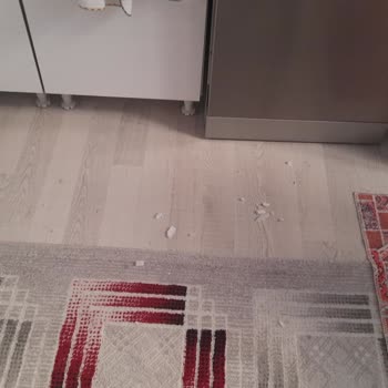 Patlayan Ocak Ve Yetersiz Garanti Hizmeti