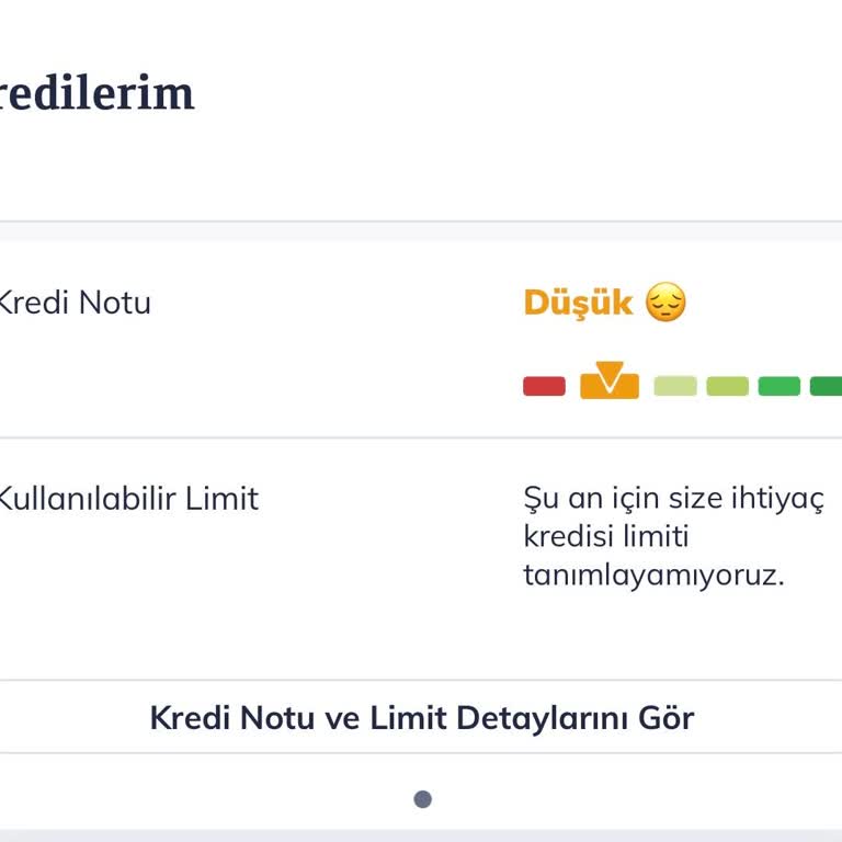 Kredi Kartı Ekstresi Ve Kredi Notu Sorunu