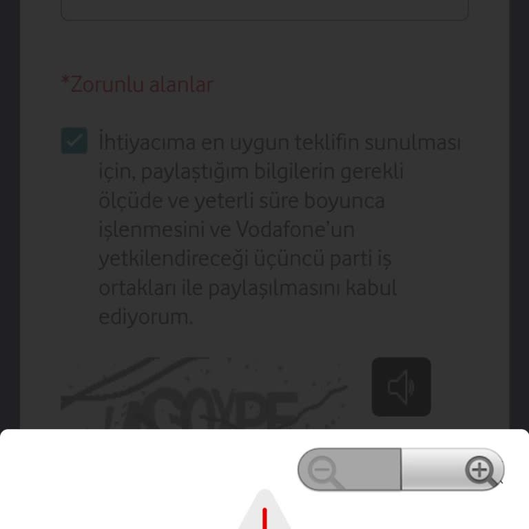 FreeZone Geçişinde Yaşanan Sorun