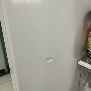 SEG Buzdolabında Fabrika Hatası Ve Yetersiz Servis