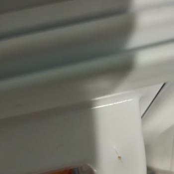 SEG Buzdolabında Fabrika Hatası Ve Yetersiz Servis