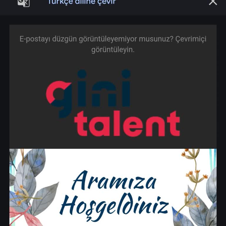 Gini Talent Programı: Güvenilirlik Ve Gizlilik Endişeleri