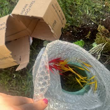 Görselden Farklı Ve Hasarlı Çiçek Teslimatı