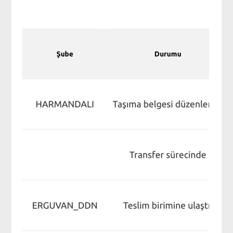 Çiçek Sepeti Ve Kargo Karmaşası