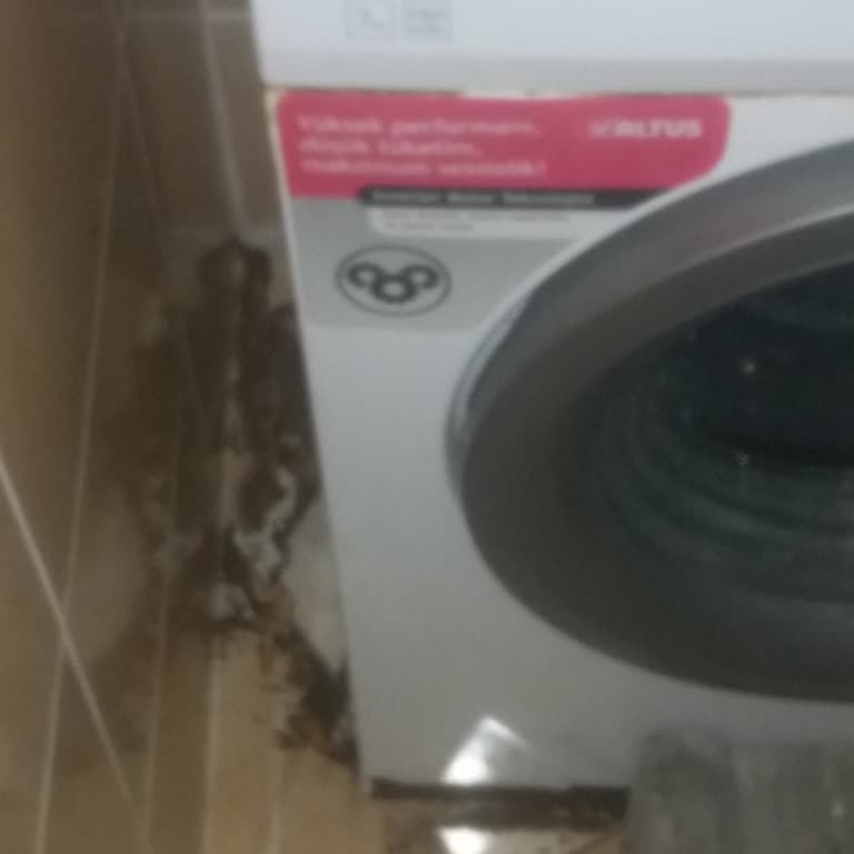 Altus Çamaşır Makinesi Hayal Kırıklığı