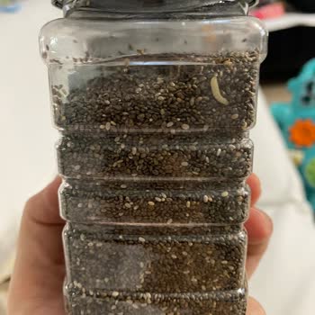 Çiya Tohumunda Kurtlanma Ve Markanın İlgisizliği