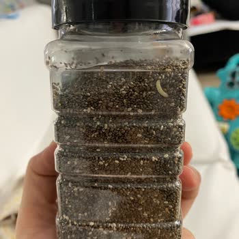 Çiya Tohumunda Kurtlanma Ve Markanın İlgisizliği