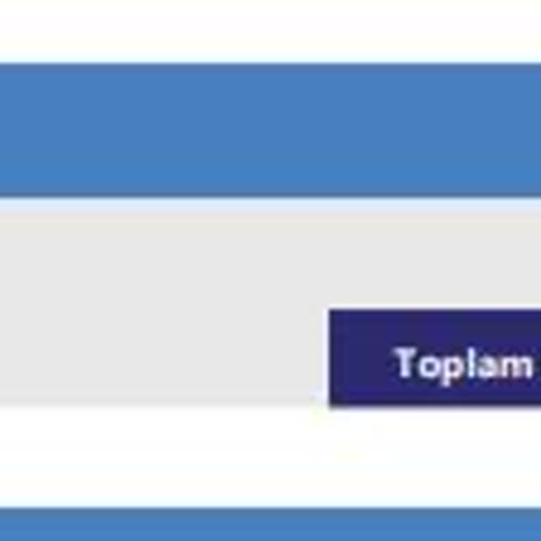 Silinmeyen Borç Ve Risk Raporu Sorunu