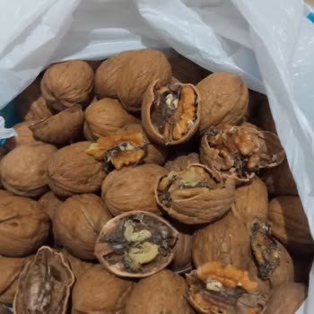 A101 Kapıda Uygulaması: İade Sürecinde Yaşanan Sorunlar Ve Müşteri Hizmetleri Erişimsizliği