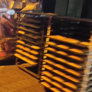 Belediyenin Yetersiz Müdahalesi Halk Sağlığını Tehdit Ediyor